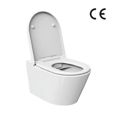 Podgrzewana toaleta bidetowa